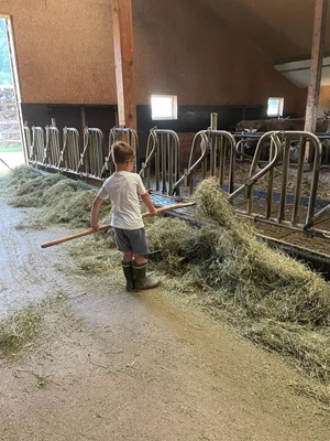 Biolandhof Hold Allgäu