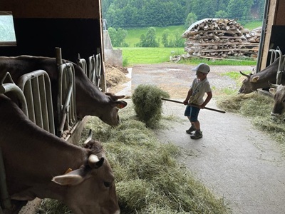Biolandhof Hold Allgäu