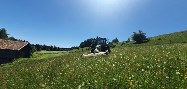 Biolandhof Hold Allgäu
