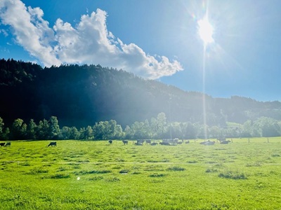 Biolandhof Hold Allgäu