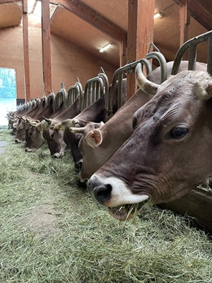 Biolandhof Hold Allgäu
