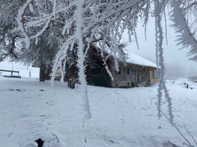 Biolandhof Hold Allgäu