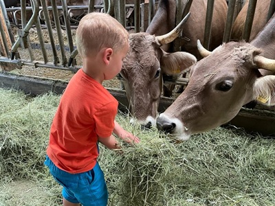 Biolandhof Hold Allgäu