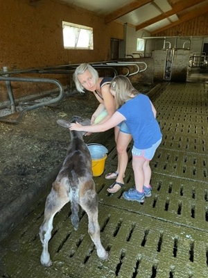 Biolandhof Hold Allgäu