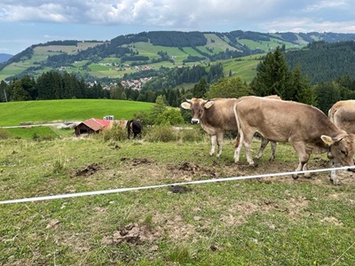 Biolandhof Hold Allgäu