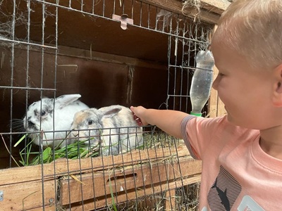 Biolandhof Hold Allgäu