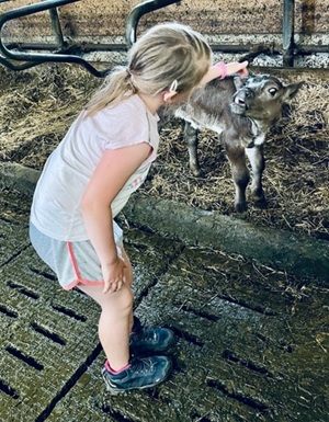 Biolandhof Hold Allgäu