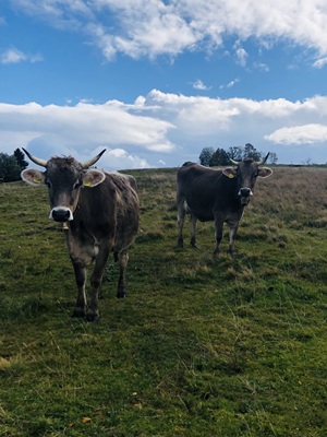 Biolandhof Hold Allgäu