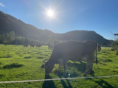 Biolandhof Hold Allgäu